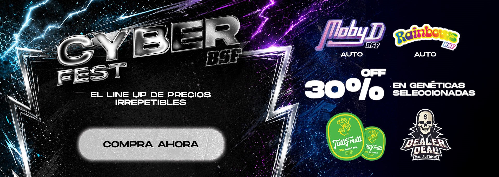 Cyber Fest BSF